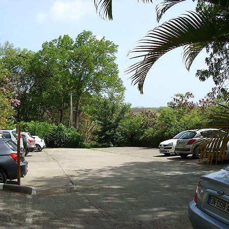 Palm'Studio Anse De Caritan Sainte-Anne Zewnętrze zdjęcie