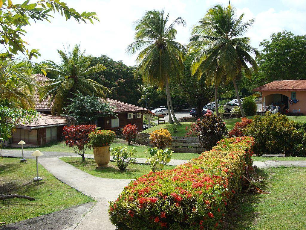 Palm'Studio Anse De Caritan Sainte-Anne Zewnętrze zdjęcie